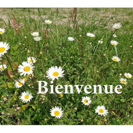 Charming Traditional 2-Bed Cottage Near Plémet エクステリア 写真