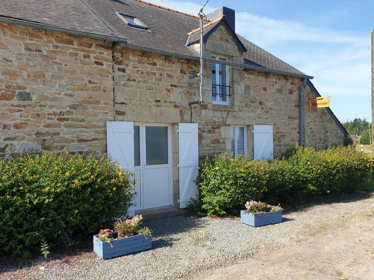 Charming Traditional 2-Bed Cottage Near Plémet エクステリア 写真